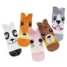 (5 Pairs) Cotton long Socks for 1 ~ 12 years babys