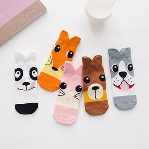 (5 Pairs) Cotton long Socks for 1 ~ 5 years babys